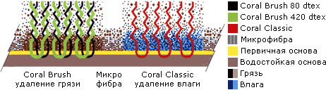 Структура Coral Duo